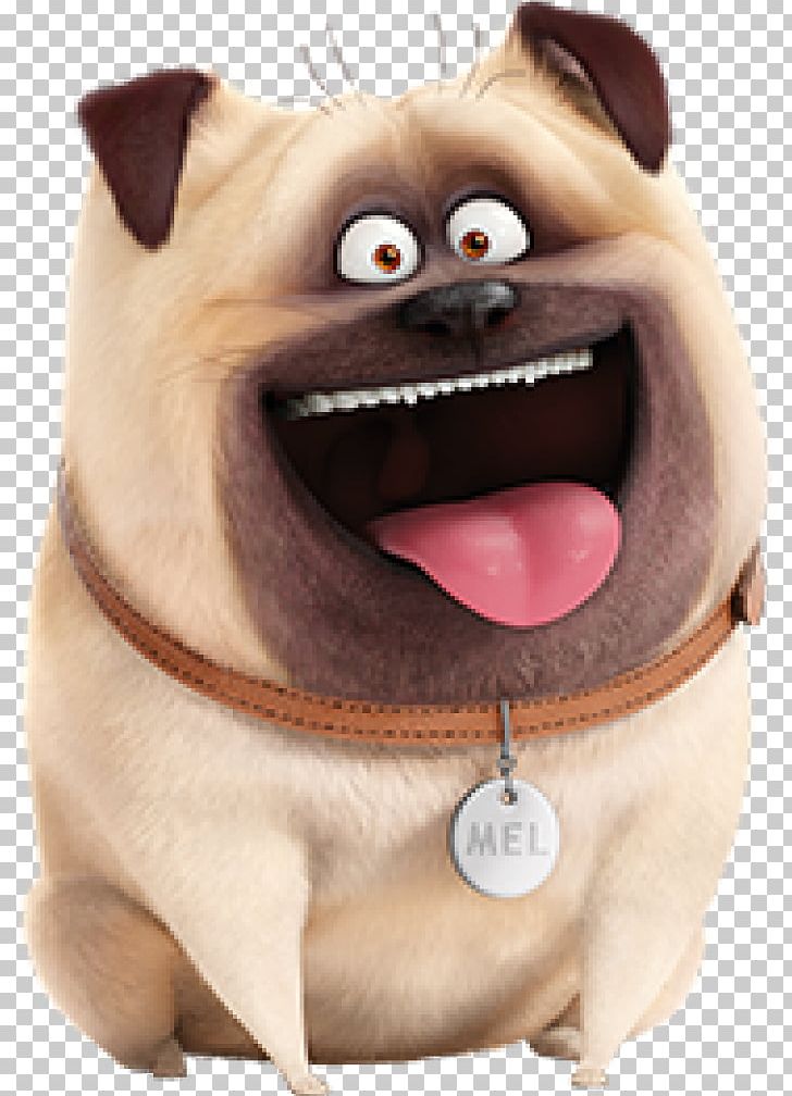 Pug Mel Max The Secret Life Of Pets Animation PNG, Clipart, Animation, Carnivoran, Companion Dog, Dog, Dog Breed Free PNG Download
