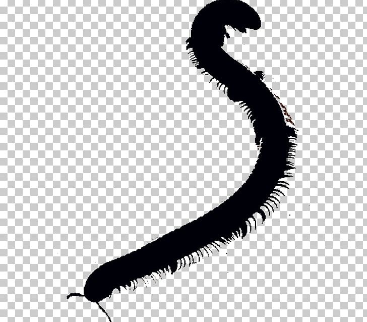 Worm Line White PNG, Clipart, Art, Black And White, Invertebrate, Line, Silhouette Free PNG Download