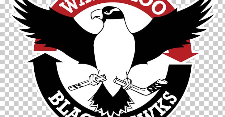 Young Arena United States Hockey League Waterloo Black Hawks Lincoln Stars Tri-City Storm PNG, Clipart, Artwork, Beak, Black And White, Black Hawk, Brand Free PNG Download
