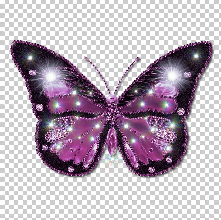 Butterfly PNG, Clipart, Butterfly Free PNG Download