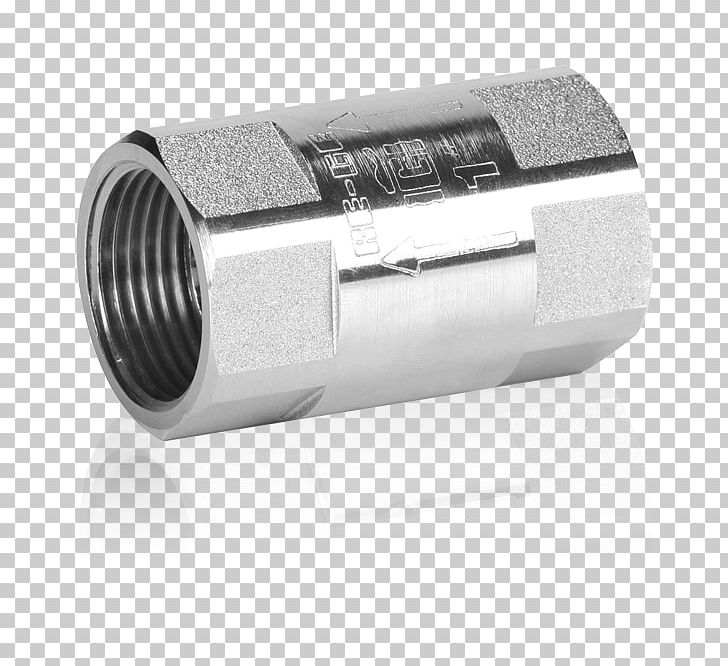 Check Valve Brass Stainless Steel Hydraulics PNG, Clipart, Angle, Brass, Cast Iron, Check Valve, Chrome Plating Free PNG Download