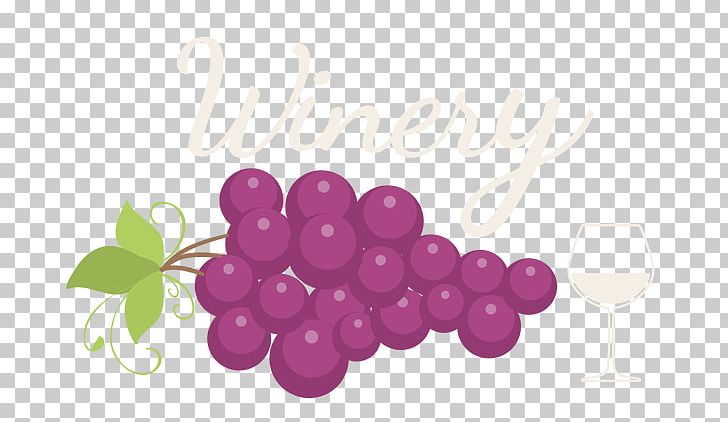 Grape Logo Auglis PNG, Clipart, Apple, Auglis, Camera Icon, Cold Drink, Cups Free PNG Download