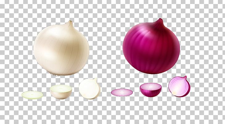 Onion Vegetable Euclidean PNG, Clipart, Computer Wallpaper, Encapsulated Postscript, Food, Green Onion, Happy Birthday Vector Images Free PNG Download