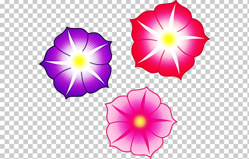 Petal Flower Pink Purple Violet PNG, Clipart, Flower, Magenta, Morning Glory, Morning Glory Family, Petal Free PNG Download
