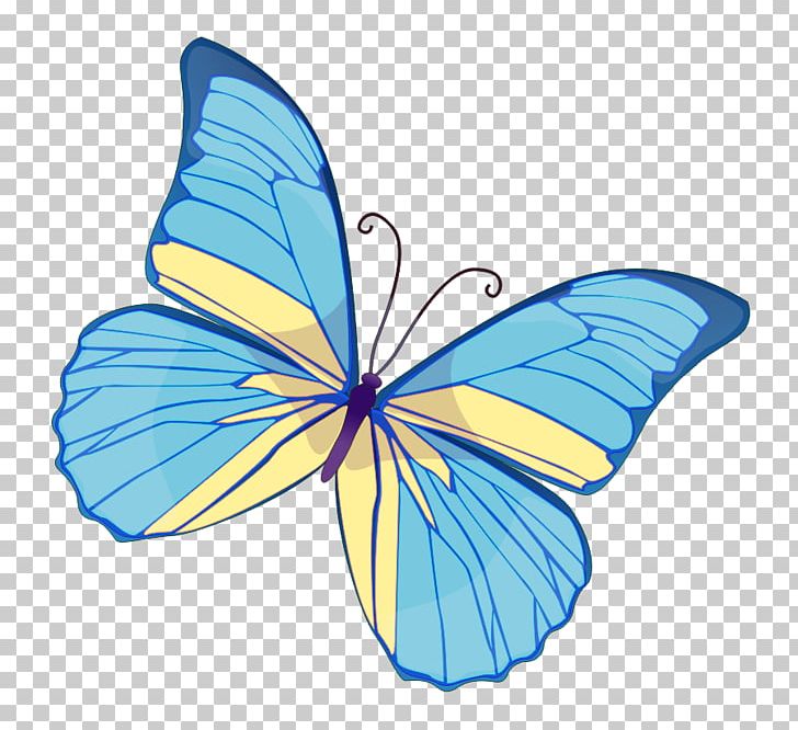 Butterfly PNG, Clipart, Blue, Brush Footed Butterfly, Butterflies And Moths, Butterfly, Color Free PNG Download