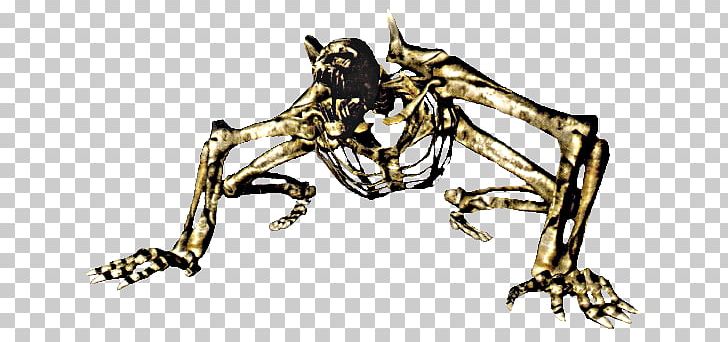 Dark Souls II Human Skeleton Skull PNG, Clipart,  Free PNG Download