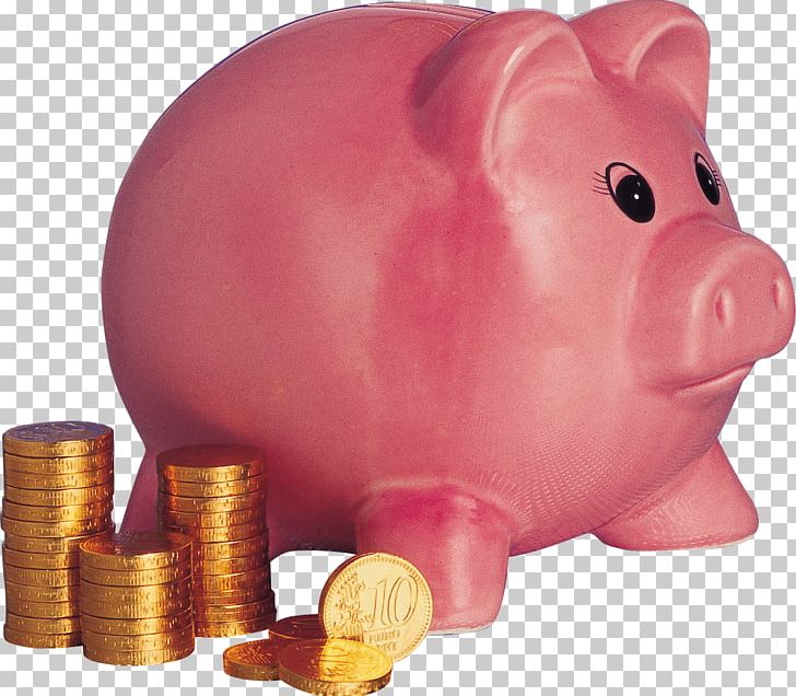 Domestic Pig Piggy Bank Money Coin PNG, Clipart, Bank, Bank Card, Banking, Banks, Coin Free PNG Download