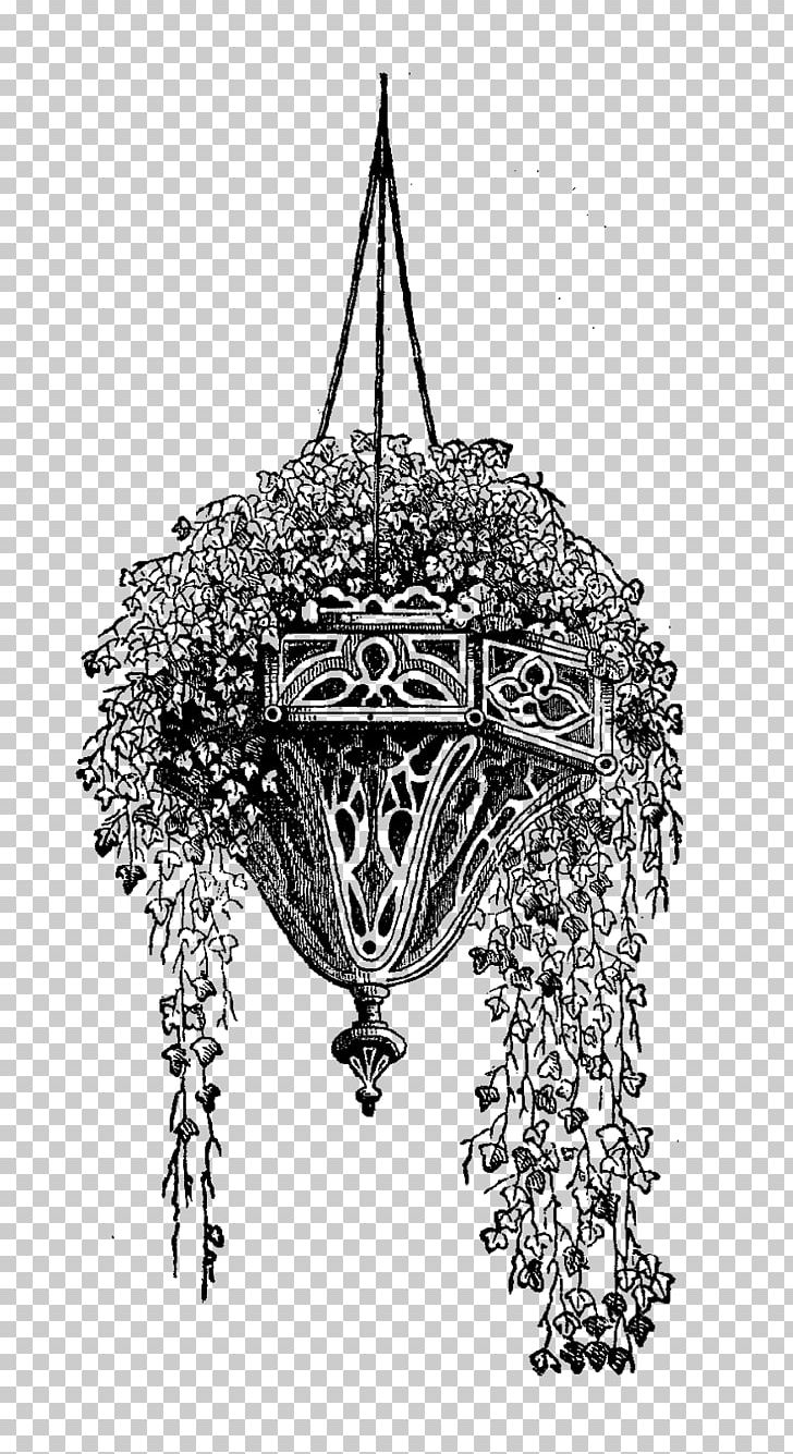 Drawing Hanging Basket Garden PNG, Clipart, Black And White, Branch, Drawing, Flower, Garden Free PNG Download