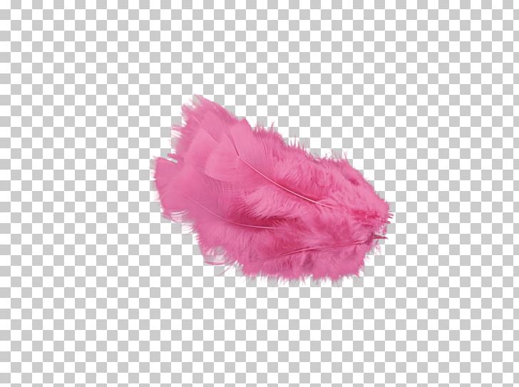 Pink Feather PNG, Clipart, Animals, Cartoon, Download, Feather, Feathers Free PNG Download