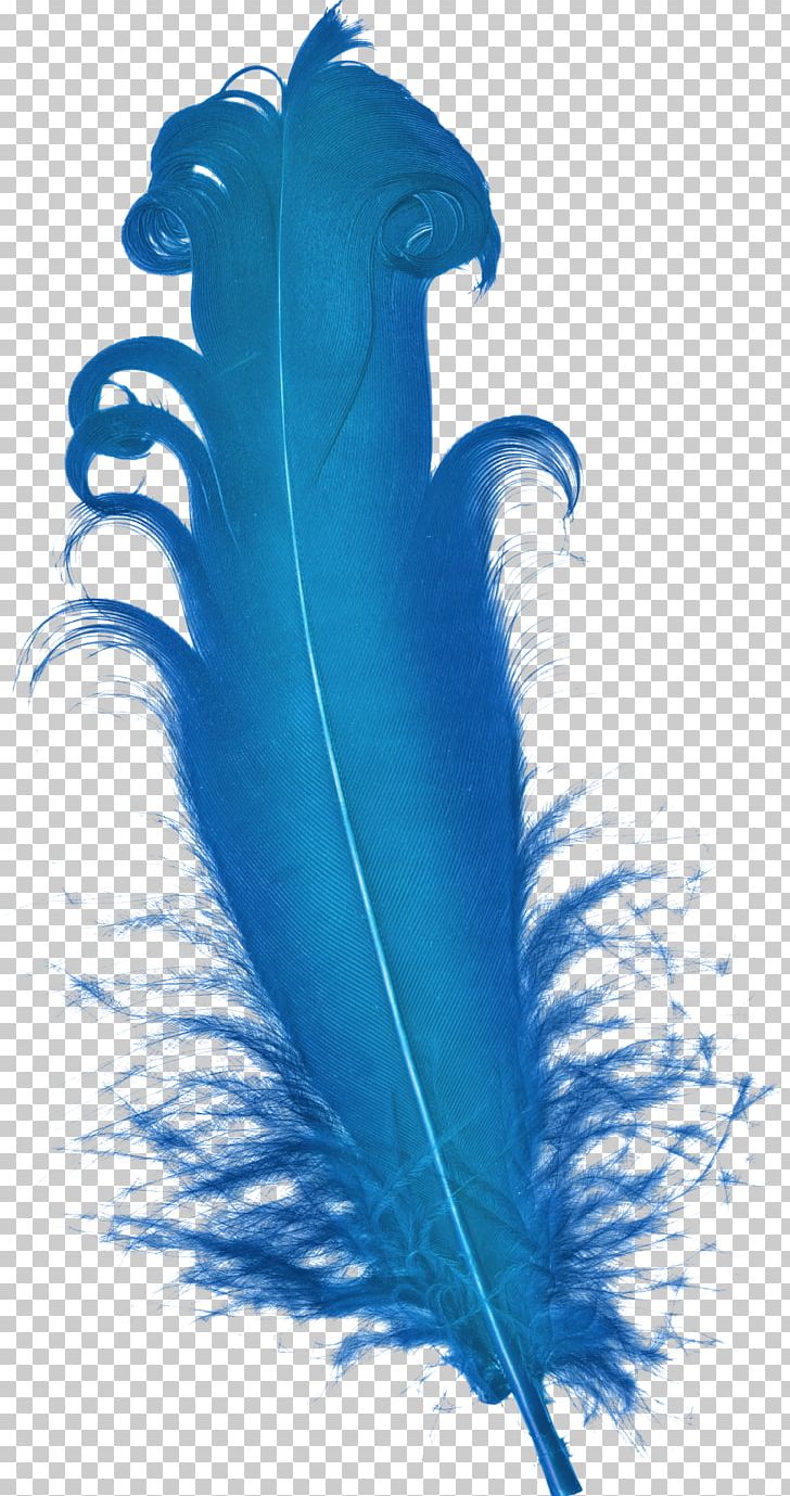 Feather Blue Plumage PNG, Clipart, Animals, Aqua, Blue, Blue Abstract, Blue Background Free PNG Download