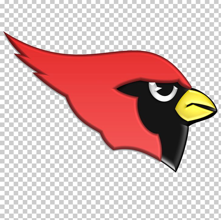 Harlingen High School St. Louis Cardinals Arizona Cardinals Cardinal High School PNG, Clipart, American Football, Baseball, Beak, Bird, Cardinal Free PNG Download