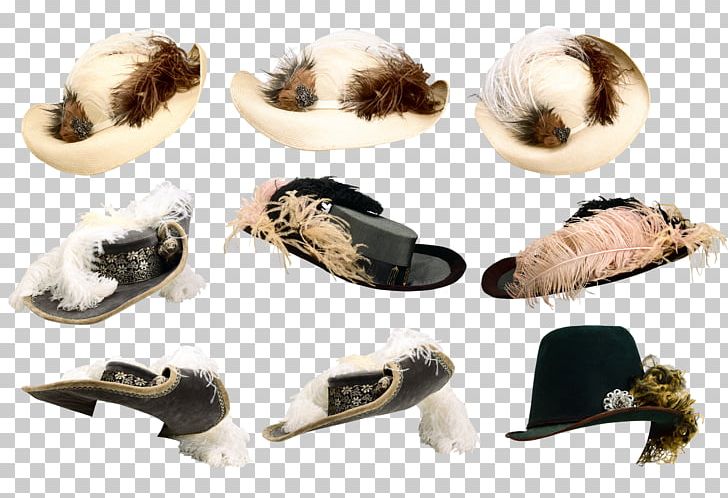 Hat Headgear PNG, Clipart, Chef Hat, Christmas Hat, Clothing, Collection, Costume Free PNG Download