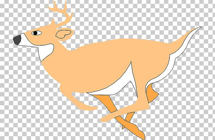 White-tailed Deer Reindeer PNG, Clipart, Animal Figure, Animals, Animation, Antler, Carnivoran Free PNG Download