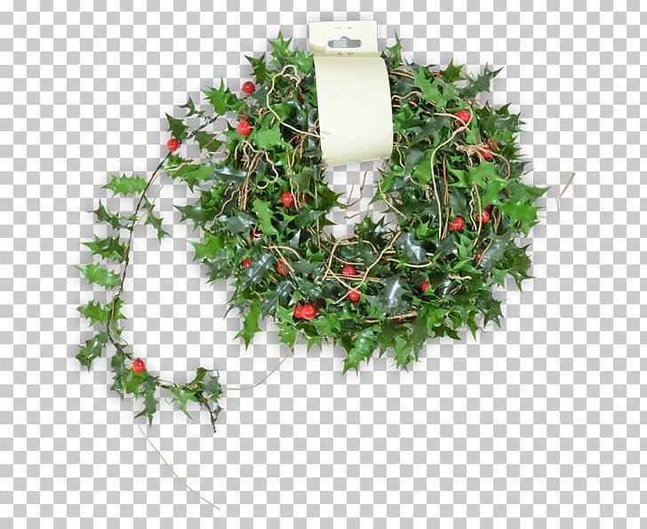 Wreath Twig Christmas Ornament Aquifoliales PNG, Clipart, Aquifoliaceae, Aquifoliales, Christmas, Christmas Decoration, Christmas Ornament Free PNG Download