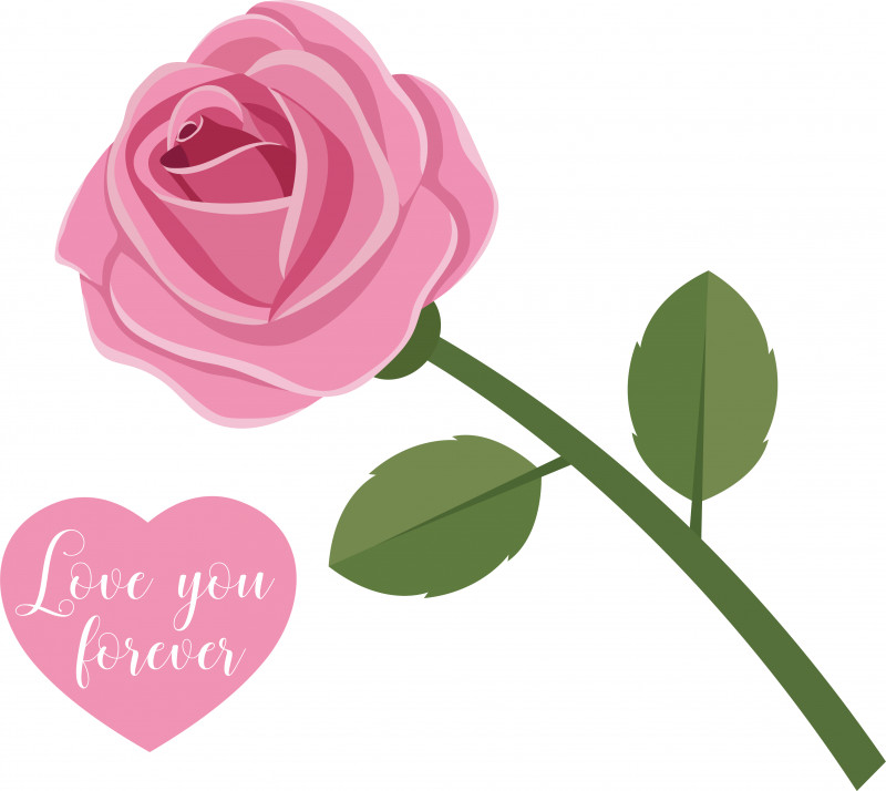Garden Roses PNG, Clipart, Cabbage Rose, Cut Flowers, Floral Design, Flower, Garden Free PNG Download