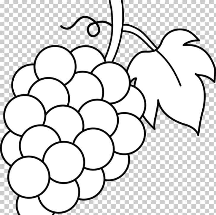 Common Grape Vine Coloring Book Grape Leaves Fruit PNG, Clipart, Art, Berry, Black And White, Branch, Chardonnay Free PNG Download