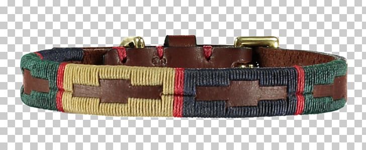 Dog Collar Belt Leash PNG, Clipart, Belt, Brass, Breed, Buckle, Capybara Free PNG Download