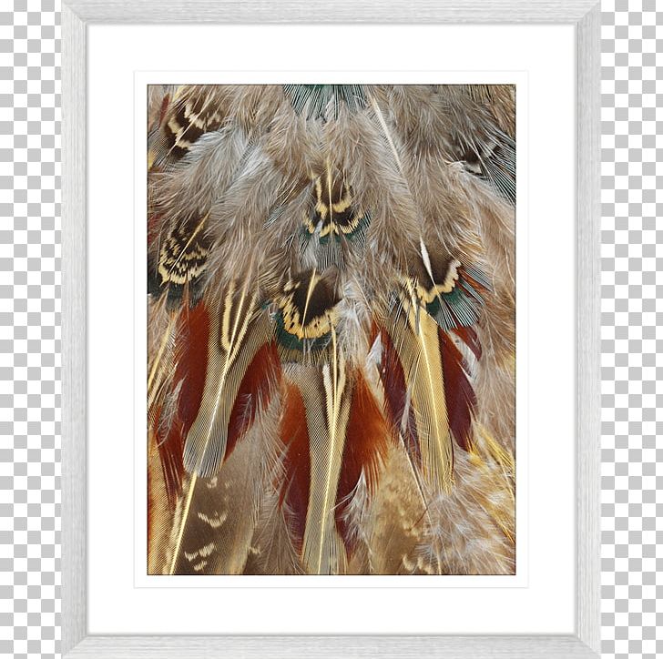 Feather Modern Art Fauna Wildlife PNG, Clipart, Animals, Art, Fauna, Feather, Fur Free PNG Download