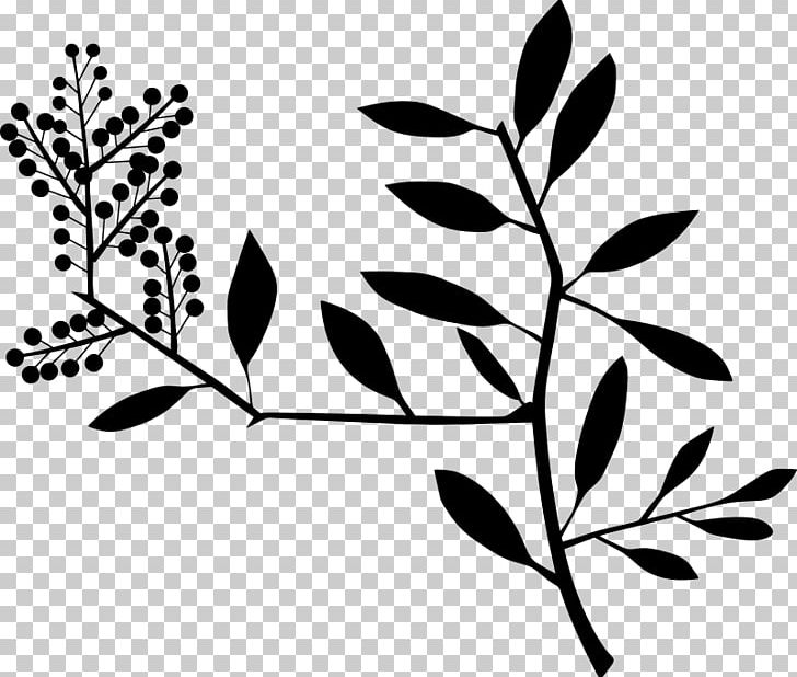 Line Art PNG, Clipart, Acanthus, Art, Black, Black And White, Branch Free PNG Download