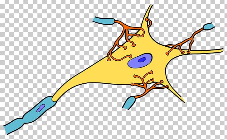 Neuron Cell Synapse Nervous System Nerve PNG, Clipart, Art, Artwork, Axon Terminal, Beak, Biology Free PNG Download