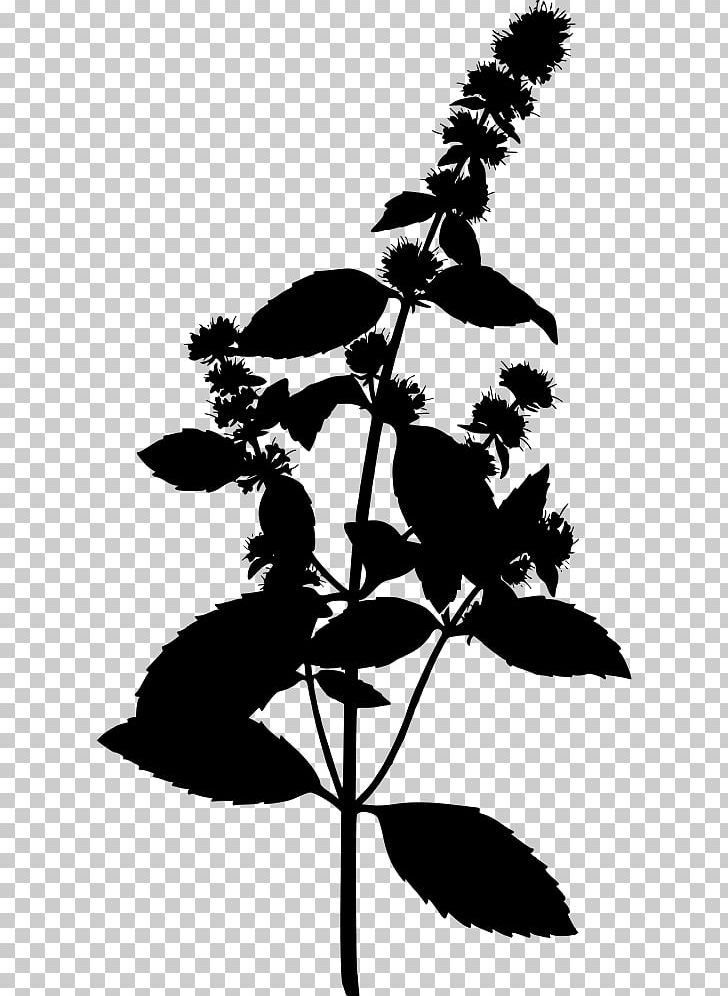 Peppermint Water Mint Herbalism Mentha Spicata PNG, Clipart, Apple Mint, Black And White, Botany, Branch, Essential Oil Free PNG Download