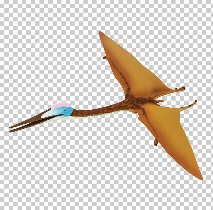 Quetzalcoatlus Safari Ltd Dinosaur Psittacosaurus Pterosaurs PNG, Clipart, Amargasaurus, Azhdarchidae, Carnegie Collection, Cretaceous, Dinosaur Free PNG Download