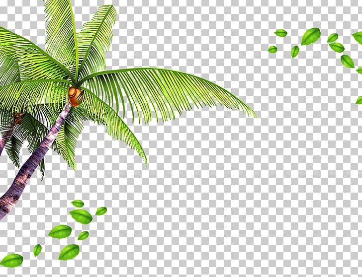 Template Beach PNG, Clipart, Advertising, Autumn Leaves, Background, Banana Leaves, Branch Free PNG Download