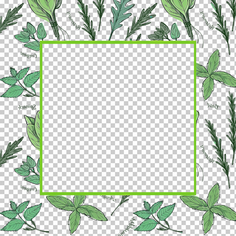 Picture Frame PNG, Clipart, Background, Leaf, Picture Frame, Plants, Plant Stem Free PNG Download