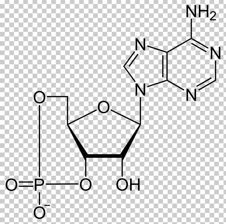 Cyclic Adenosine Monophosphate Adenosine Triphosphate Energy Chemical Bond PNG, Clipart, Angle, Auto Part, Chemistry, Furniture, Line Free PNG Download