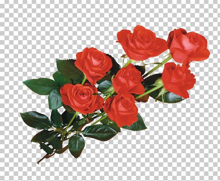 Flower Photobucket Desktop PNG, Clipart, Animaatio, Artificial Flower, Cut Flowers, Floral Design, Floribunda Free PNG Download