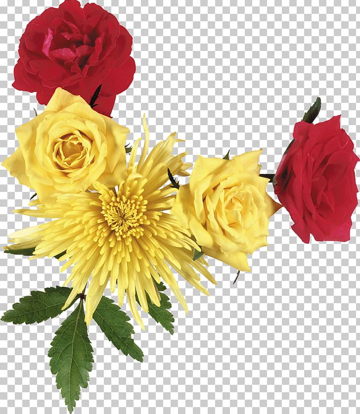 Flower Photography PNG, Clipart, Chrysanthemum, Chrysanths, Cut Flowers, Floral Design, Floristry Free PNG Download