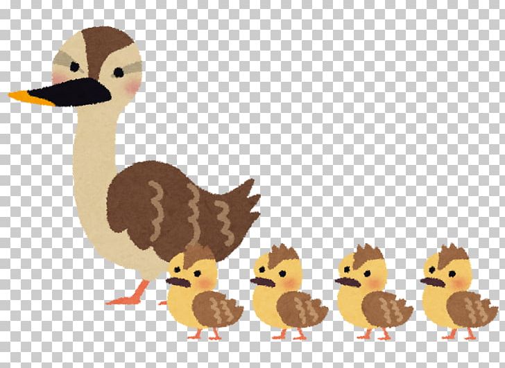 Indian Spot-billed Duck Bird Child Illustration PNG, Clipart, Animal, Avian Influenza, Beak, Bird, Blog Free PNG Download