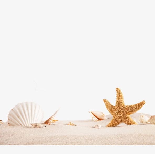 Beach PNG, Clipart, Beach, Beach Clipart, Element, Great, Great Element Free PNG Download
