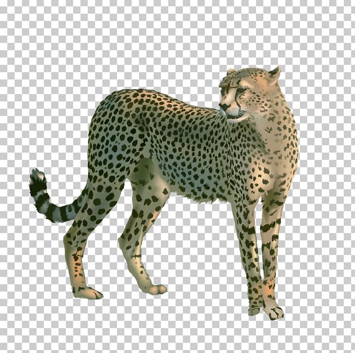 Cheetah Leopard Cat Lion PNG, Clipart, Animal, Animals, Arctic Fox, Big Cats, Biological Free PNG Download