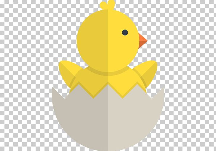 Duck Chicken PNG, Clipart, Animal, Animals, Beak, Bird, Birds Free PNG Download