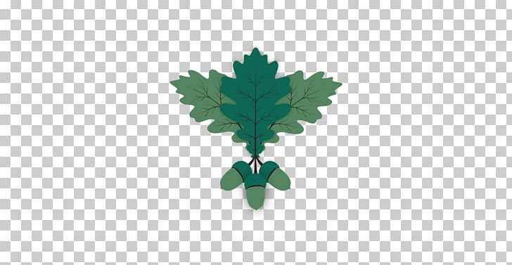 Leaf Computer Icons PNG, Clipart, Acorn, Auglis, Cave, Computer Icons, Cotyledon Free PNG Download
