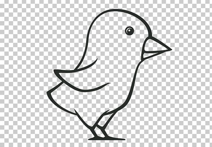 Computer Icons Bird PNG, Clipart, Animals, Artwork, Avatar, Beak, Bird Free PNG Download