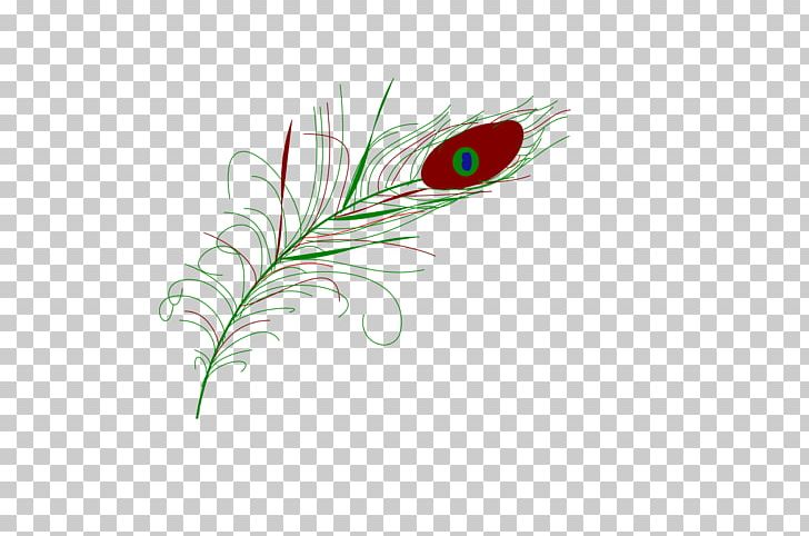 Feather Quill Corp Leaf PNG, Clipart, Animal, Animals, Closeup, Closeup, Feather Free PNG Download
