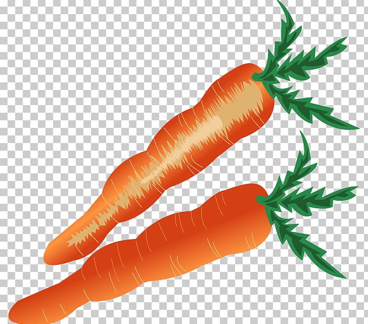 Baby Carrot Vegetable PNG, Clipart, Balloon Cartoon, Boy Cartoon, Carrot, Carrot Vector, Cartoon Free PNG Download