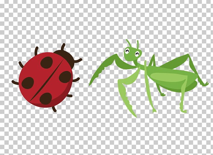 Insect Euclidean Drawing Icon PNG, Clipart, Animal, Animals, Animation, Beetle, Caracol Free PNG Download