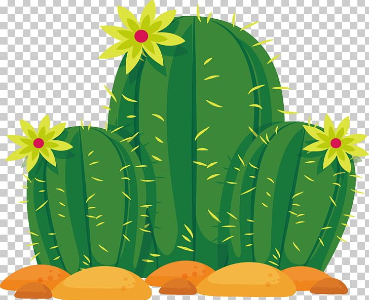 Cactaceae Sonoran Desert Euclidean PNG, Clipart, Cactus, Cactus Vector, Caryophyllales, Desert, Drawing Free PNG Download