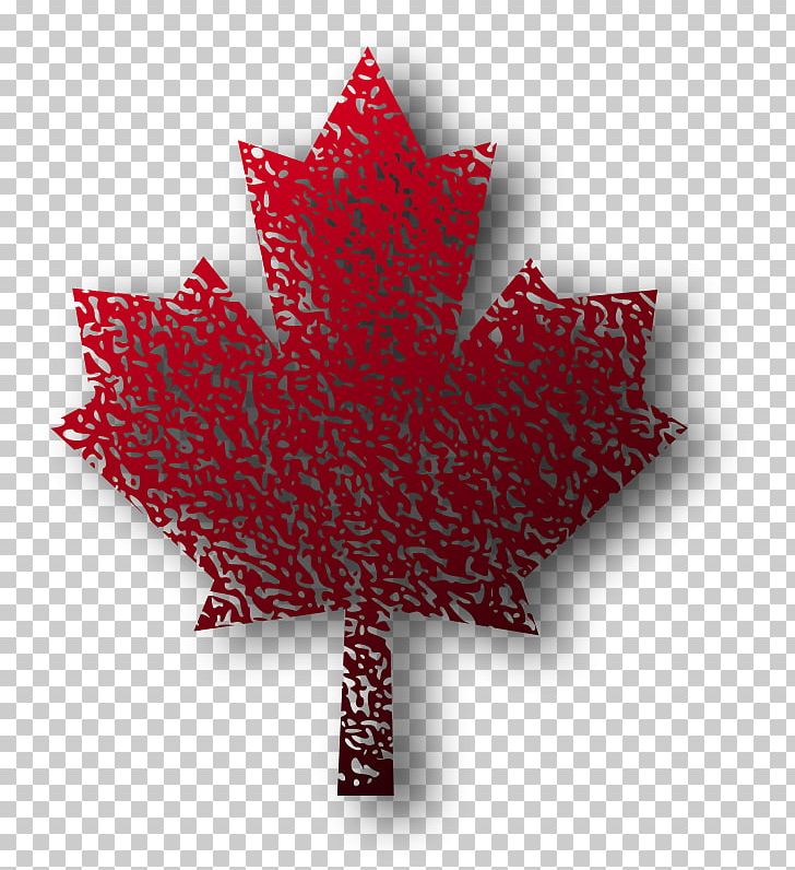 Maple Leaf PNG, Clipart, Autumn Leaf Color, Computer Icons, Download, Drawing, Flag Of Canada Free PNG Download