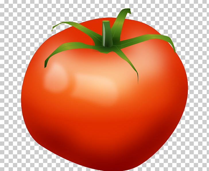 Tomato Vegetable Food PNG, Clipart, Apple, Bush Tomato, Computer Icons, Diet Food, Food Free PNG Download