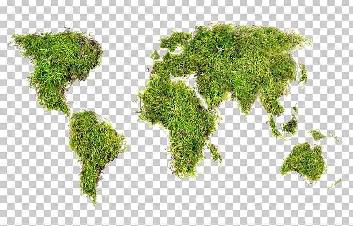 World Map Globe PNG, Clipart, Allposterscom, Canvas Print, Globe, Grass, Herb Free PNG Download