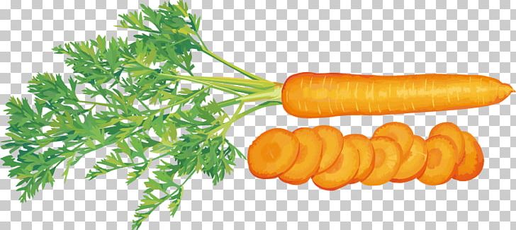 Juice Vegetable Carrot Tomato PNG, Clipart, Cabbage, Carrot Vector, Cucumber Slices, Daikon, Food Free PNG Download