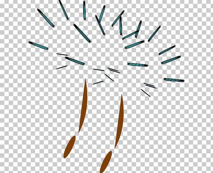 Line Art PNG, Clipart, Angle, Area, Circle, Common Dandelion, Dandelion Free PNG Download