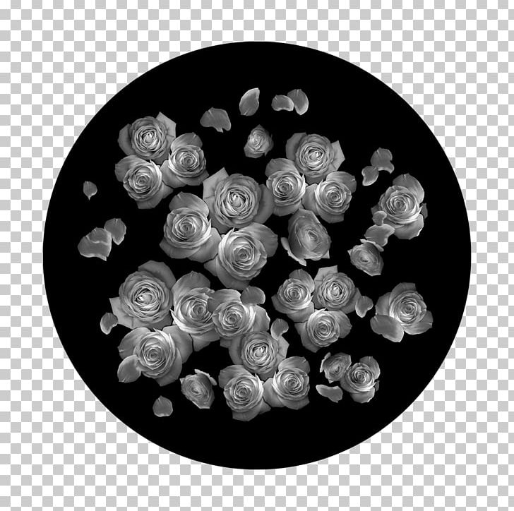 Gobo Circle Glass White Rose PNG, Clipart, Black And White, Breakup, Circle, Education Science, Glass Free PNG Download