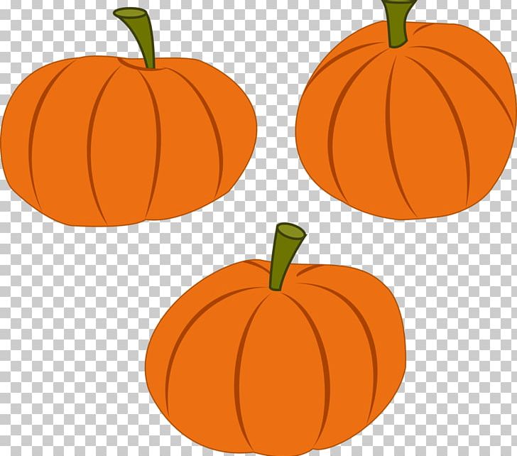 Pumpkin PNG, Clipart, Adobe Illustrator, Art, Calabaza, Computer Icons, Cucurbita Free PNG Download