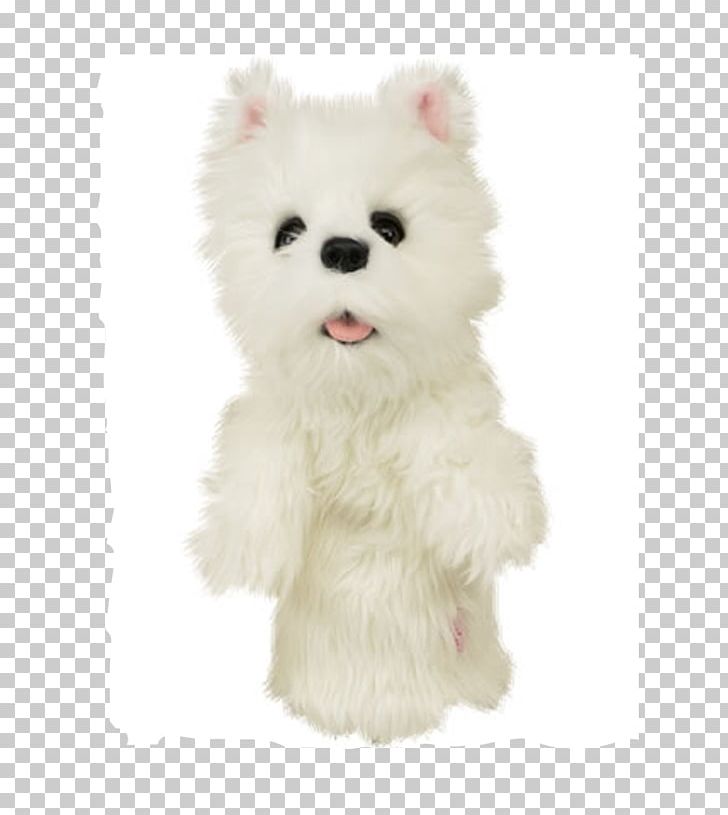 West Highland White Terrier Jack Russell Terrier Golf Clubs Wood PNG, Clipart, Carnivoran, Companion Dog, Daphne, Dog, Dog Breed Free PNG Download