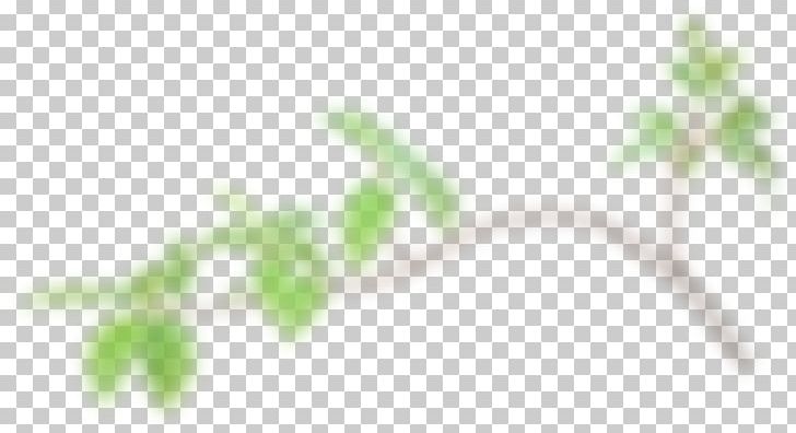 Twig Plant Stem Leaf Close-up Herb PNG, Clipart, Branch, Closeup, Closeup, Grass, Green Free PNG Download